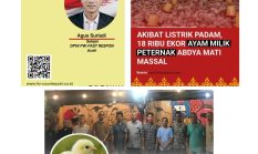 berita-pilihan-foto