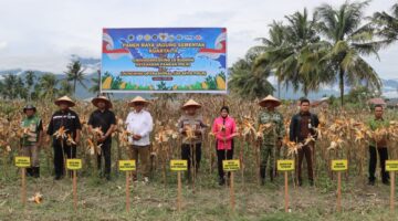 Panen Raya Jagung Serentak Kuartal II, Kapolres Aceh Tenggara Bersama Forkopimda Dukung Program Presiden RI