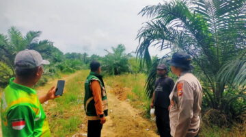 Ketahanan Pangan Koto Damai Diperkuat, Kelompok Tani dan Polsek Kampar Kiri Hilir Tanam Jagung 0,5 Ha