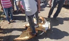 berita-pilihan-foto