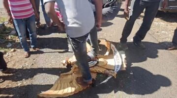Bulan Bintang Dikibar dan Lambang Garuda Diturunkan, Peringatan 21 Tahun Damai Aceh Berakhir Ricuh