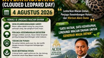 GAMIES Aceh Ajak Masyarakat Lestarikan Macan Dahan di Hari Macan Dahan Internasional 2026