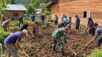 TMMD ke-130 Kodim 0113/Gayo Lues Mulai Buka Jalan Sepanjang 3.500 Meter dan Bangun RTLH di Desa Pepelah dengan Semangat Gotong Royong